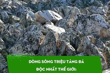 Dòng sông triệu tảng đá độc nhất thế giới: Không có nước vẫn nghe róc rách