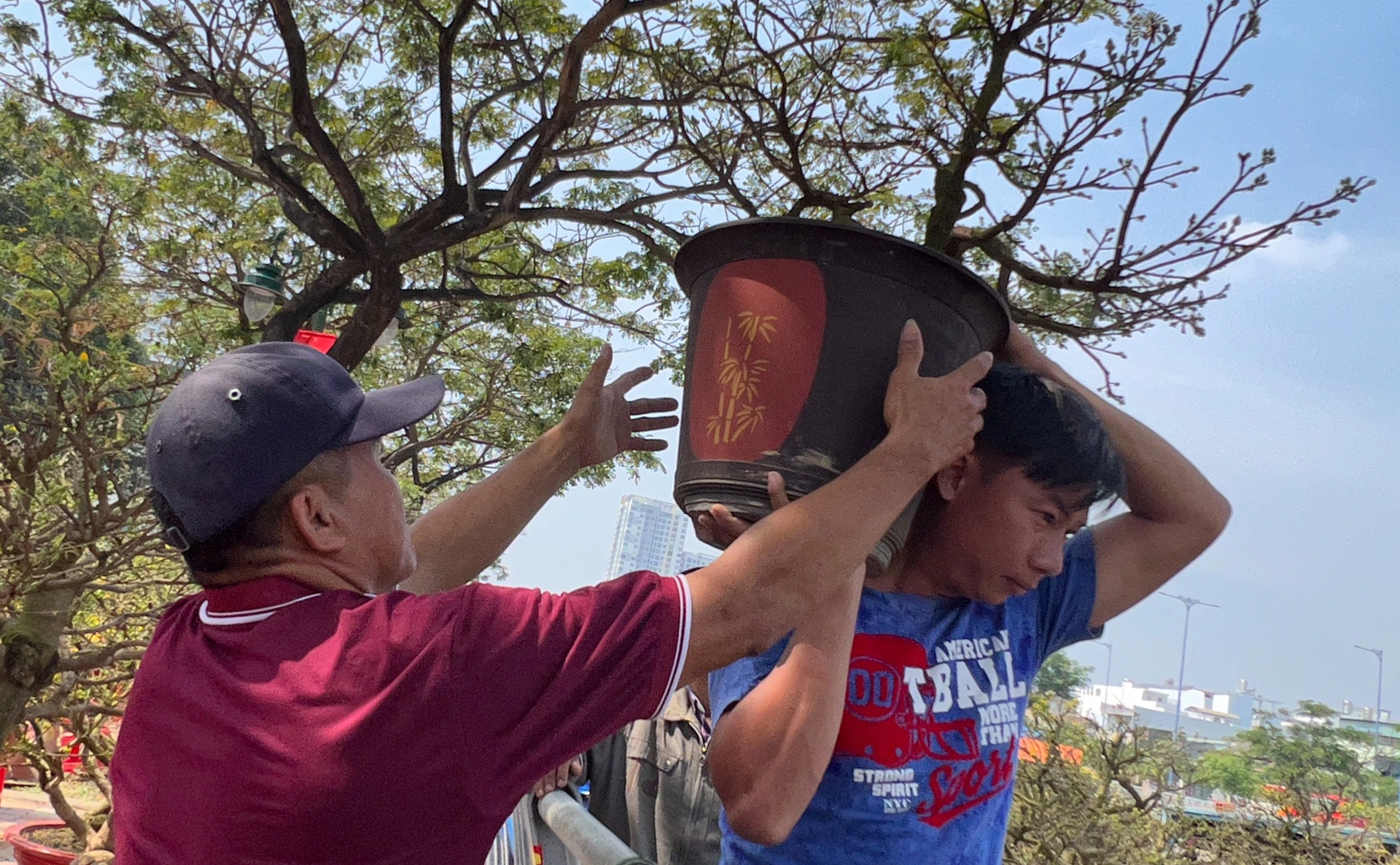 Nỗi niềm thương hồ miền Tây đem hoa lên TPHCM bán Tết - 3 Nỗi niềm thương hồ miền Tây đem hoa lên TPHCM bán Tết - 3