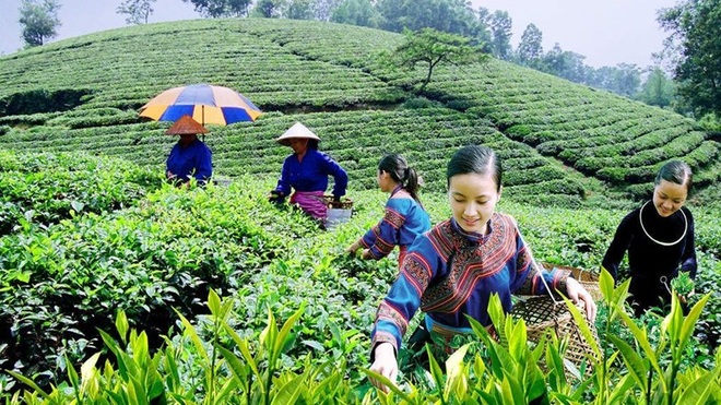 Bộ trưởng Nguyễn Chí Dũng: Không thể một lần nữa lại đi sau... - 5 Bộ trưởng Nguyễn Chí Dũng: Không thể một lần nữa lại đi sau... - 5