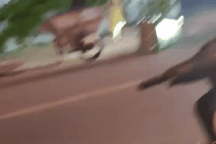 Vụ người phụ nữ đi xe sang đá thùng rác ra đường: Không xử phạt