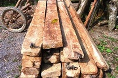 Rạng sáng, dùng thuyền máy chở gỗ lậu