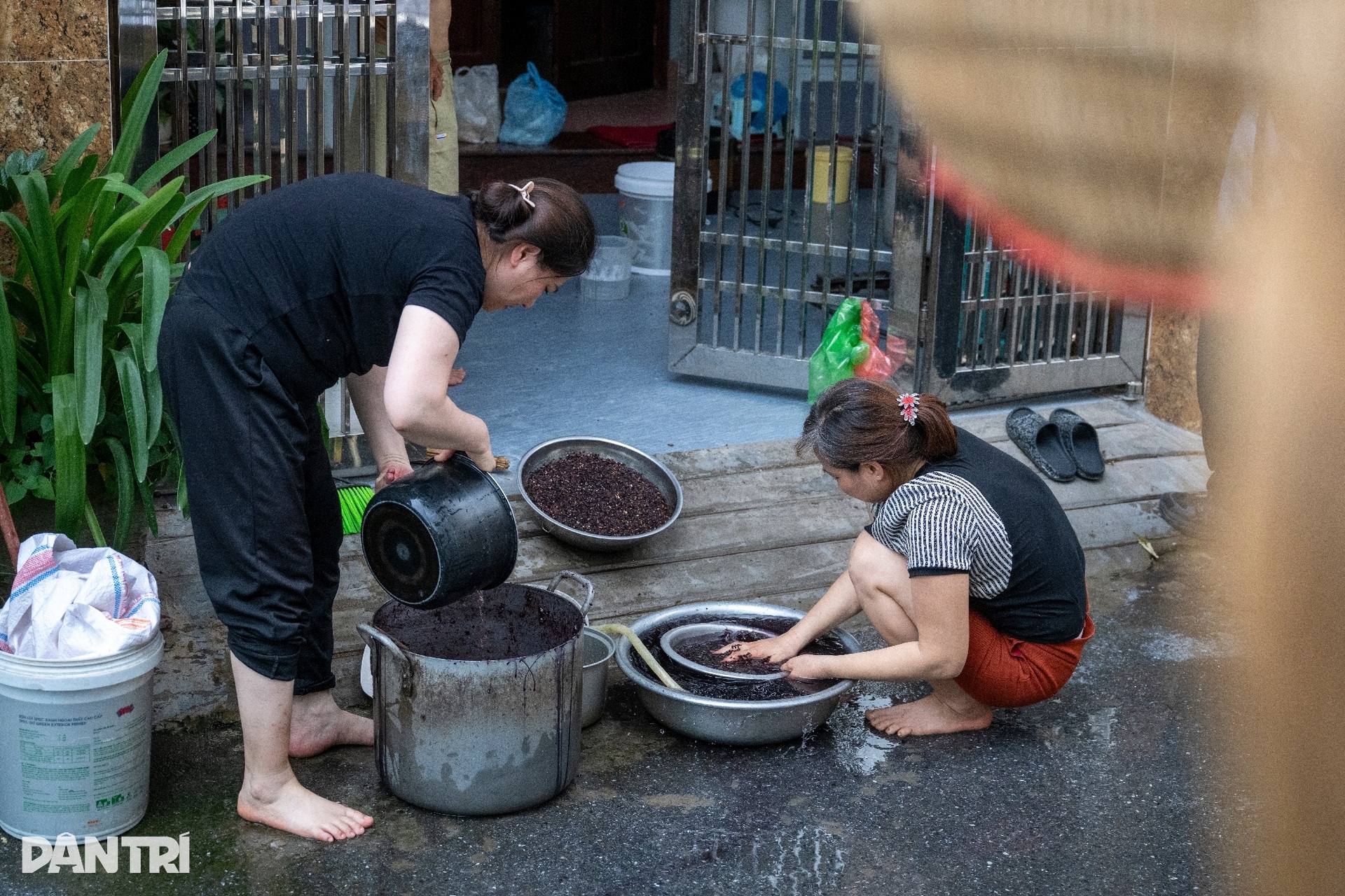 Người làng nghề ở Hà Nội xuyên đêm làm cả tấn rượu nếp phục vụ Tết Đoan Ngọ - 13 Người làng nghề ở Hà Nội xuyên đêm làm cả tấn rượu nếp phục vụ Tết Đoan Ngọ - 13