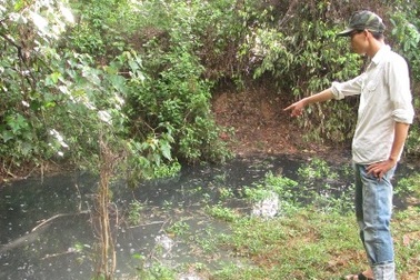 Thêm một nhà máy vô tư “đầu độc” môi trường