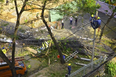 Xử lý nghiêm vụ sập cần cẩu đè Bảo tàng mỹ thuật