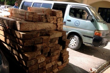 Gặp CSGT, tài xế xe biển xanh chở gỗ lậu vứt xe bỏ trốn