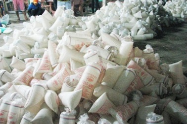 Tôm giống "trôi nổi", chưa qua kiểm dịch ồ ạt tràn vào ĐBSCL