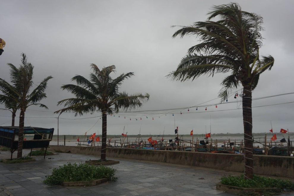 Thanh Hóa: Bão số 2 gây mưa to, gió lớn ở nhiều khu vực - 2 Thanh Hóa: Bão số 2 gây mưa to, gió lớn ở nhiều khu vực - 2