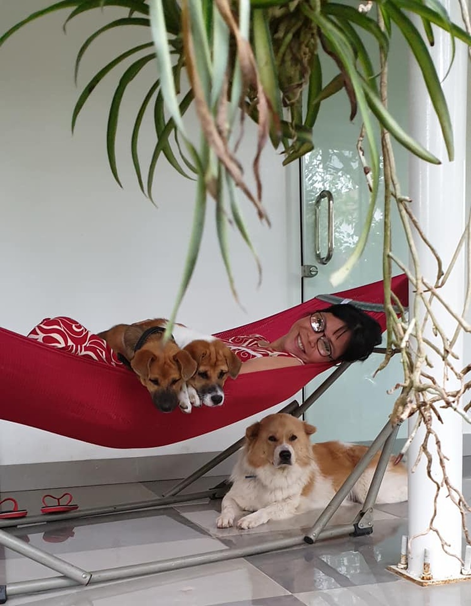 Ca sĩ Ánh Tuyết: “Đầu óc tôi giờ toàn... rau với đất” - 3 Ca sĩ Ánh Tuyết: “Đầu óc tôi giờ toàn... rau với đất” - 3