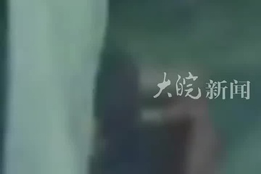 Ngoại hình tàn tạ tới mức không nhận ra của cô gái sống 14 ngày trong rừng