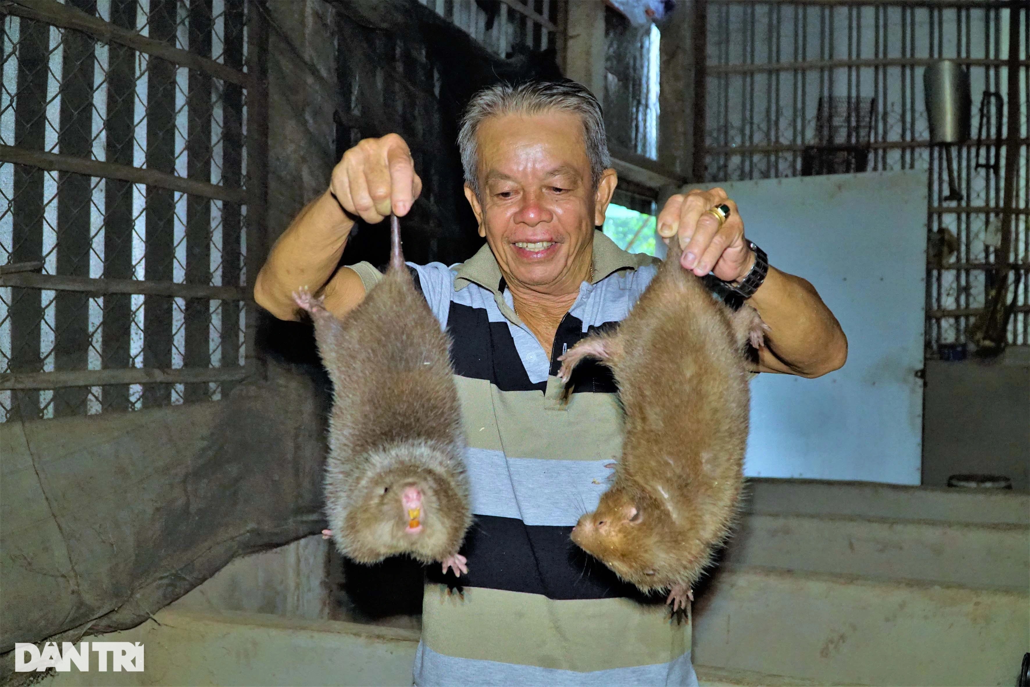 Vua dúi miền Tây chia sẻ bí quyết kiếm trăm triệu đồng mỗi tháng - 1 Vua dúi miền Tây chia sẻ bí quyết kiếm trăm triệu đồng mỗi tháng - 1