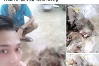 Nam thanh niên khoe "chiến tích" bắn khỉ lên Facebook