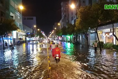 TPHCM mưa kèm dông sét, đường ngập, cây ngã la liệt