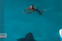 Vừa trượt xuống nước, nữ du khách đụng độ ngay phải cá mập