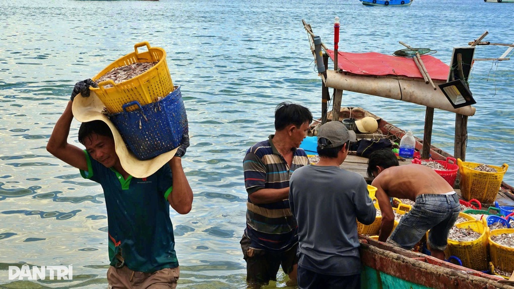 Dân đảo Phú Quốc nhập hàng tấn tôm cá mỗi ngày làm khô bán dịp Tết - 5 Dân đảo Phú Quốc nhập hàng tấn tôm cá mỗi ngày làm khô bán dịp Tết - 5
