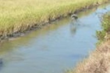 Phạt Phó Chủ tịch Hội Cựu chiến binh huyện vì xâm hại sức khỏe người khác