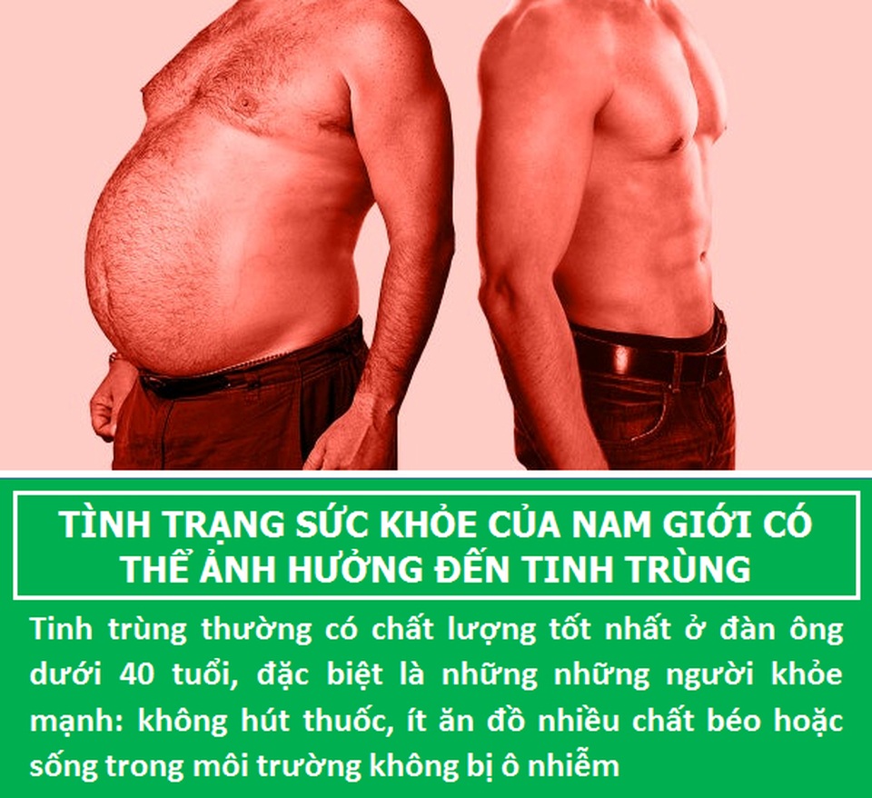 Bất ngờ với những sự thật ít biết về “đội quân” tí hon của các chàng - 1 Bất ngờ với những sự thật ít biết về “đội quân” tí hon của các chàng - 1