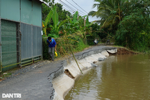 Sạt lở bờ đê, đường "trôi tuột" xuống sông
