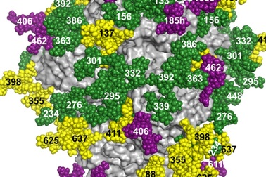 Phương pháp mới nhận dạng HIV