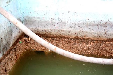 Độc giả phẫn nộ vụ phá hoại môi trường của Tung Kuang