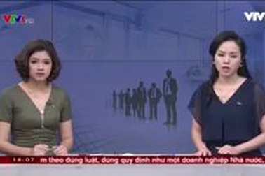 Thấy gì từ thực tế lao động lớn tuổi bị ép sa thải?