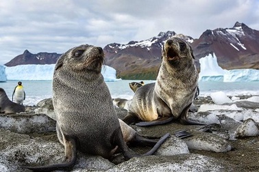 Những hòn đảo phải đến thăm một lần trong đời