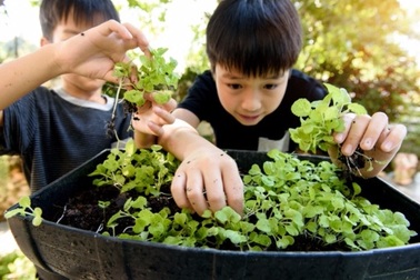 Chuyên gia tâm lý Tô Nhi A:  “Thiên nhiên chính là ngôi trường chất lượng cao để trẻ học sáng tạo!”