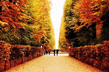 Săn vé máy bay 0 đồng, vui hè 3D cực đỉnh