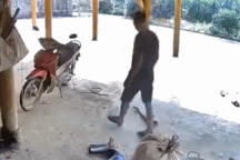 Clip khoảnh khắc người đàn ông suýt bị rắn mổ trúng tại Yên Bái