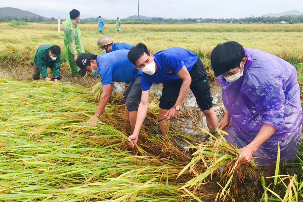Chàng trai Bình Định mê chèo bả trạo, nhận đỡ đầu học sinh khó khăn - 2 Chàng trai Bình Định mê chèo bả trạo, nhận đỡ đầu học sinh khó khăn - 2