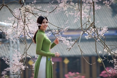 Nguyễn Thị Loan đẹp rạng ngời như “Hoa nắng”