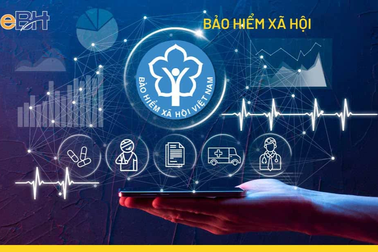 Bảo hiểm xã hội Việt Nam tuyển viên chức làm việc tại các đơn vị trực thuộc năm 2024