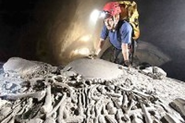 Phát hiện bộ xương hóa thạch nghi là xương hổ