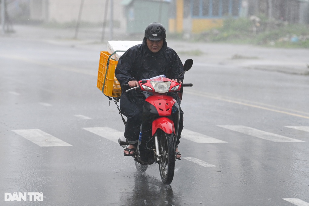 Tôn bay, cây đổ, thuyền đắm trong bão Noru - 3 Tôn bay, cây đổ, thuyền đắm trong bão Noru - 3