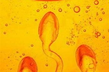 Những con số thú vị về khả năng "yêu" của nam giới