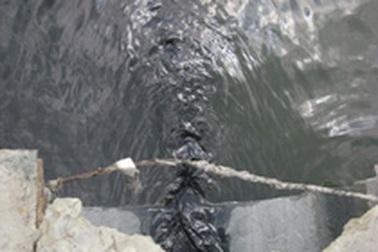 Hào Dương - “Vedan” của TPHCM! 