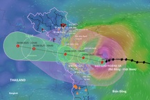 Bão mắt kim nguy hiểm như thế nào?