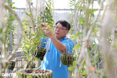 Mãn nhãn với gia tài của ông chủ vườn phải đưa vào hội ... cai nghiện lan