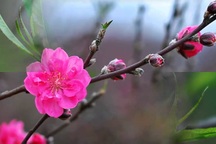 Bộ LĐ-TB&XH đề xuất phương án 7 ngày nghỉ Tết 2017