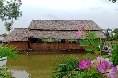 Tới Sa Đéc nên dừng chân ở chỗ này