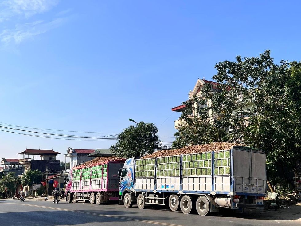 Nữ tài xế xinh đẹp Thái Nguyên gây sốt: Lái xe 30 tấn chinh phục đường đèo - 6 Nữ tài xế xinh đẹp Thái Nguyên gây sốt: Lái xe 30 tấn chinh phục đường đèo - 6