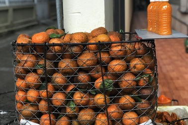 Túc tắc ngày vắt 3 tạ cam sành đóng chai, tiểu thương thu về tiền triệu