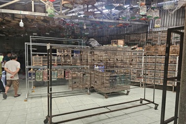 Bộ Công an cảnh báo "dân chơi" chim cảnh