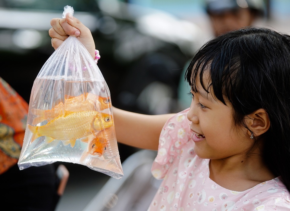 Hà Nội: Cá chép đi cầu trượt lên chầu Trời - 12 Hà Nội: Cá chép đi cầu trượt lên chầu Trời - 12