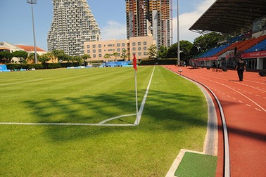 Mặt cỏ tuyệt đẹp trên sân Bishan