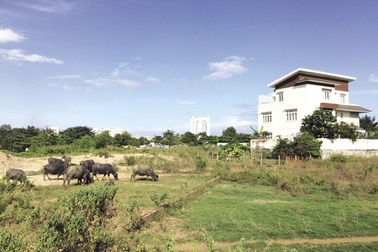 TPHCM: Ngành Thanh tra cần quan tâm mức giá đền bù đất đai cho người dân