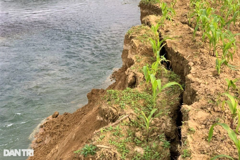 120 hộ dân có nguy cơ mất đất sản xuất vì sông Ngàn Phố sạt lở - 2