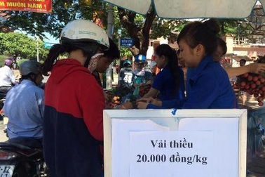 Tiêu thụ hết 6 tấn vải thiều nghĩa tình trong 1 ngày