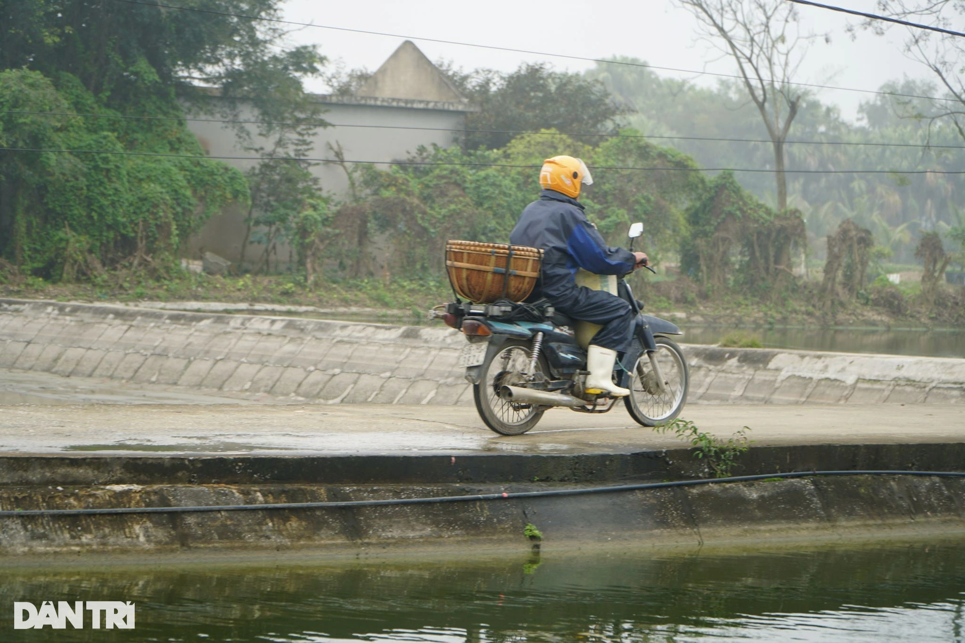 Dredging the lake to collect 3 tons of carp, earning hundreds of millions before Mr. Tao returns to heaven - November 1