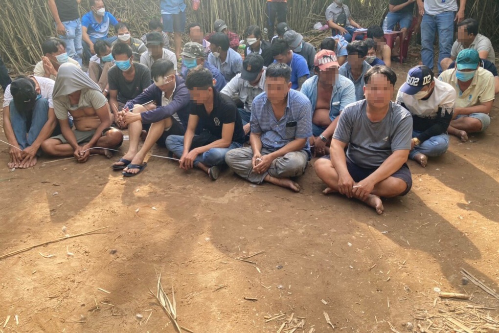 Phá trường gà trong bãi lau sậy rậm rạp ở vùng ven TPHCM - 1 Phá trường gà trong bãi lau sậy rậm rạp ở vùng ven TPHCM - 1