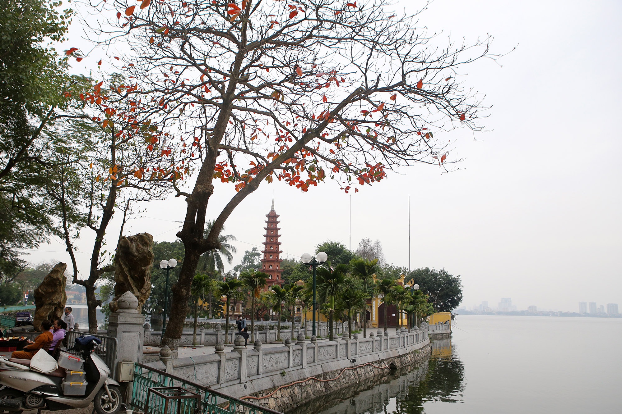 Hà Nội: Ngắm hồ Tây đẹp lãng mạn vào mùa cây thay lá - 12 Hà Nội: Ngắm hồ Tây đẹp lãng mạn vào mùa cây thay lá - 12